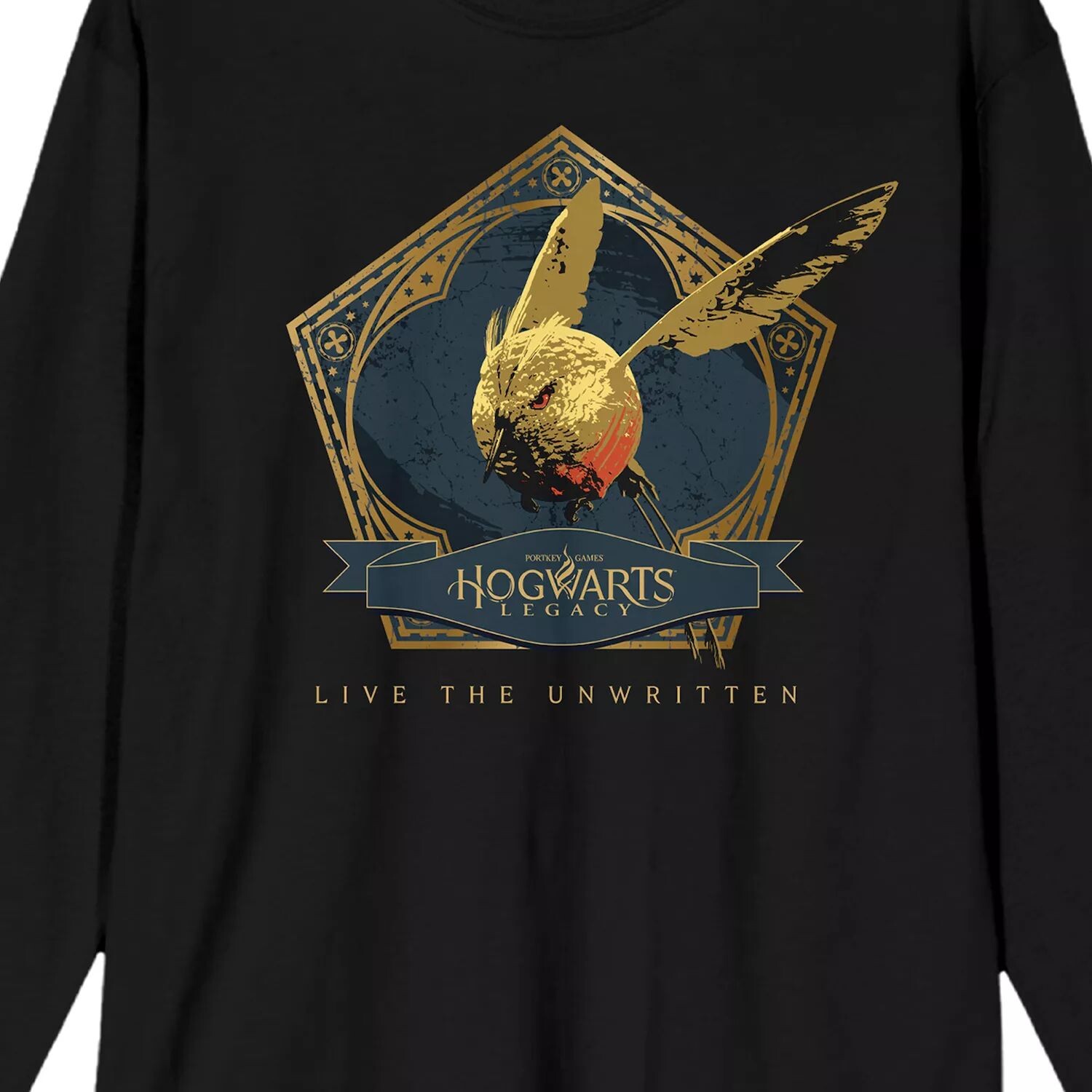 Мужская футболка с длинными рукавами Hogwarts Legacy Bird Live Licensed Character
Мужская футболка с длинными рукавами Hogwarts Legacy Bird Live Licensed Character