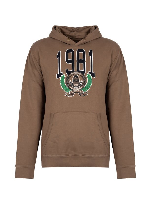 Толстовка мужская Guess, коричневый
Толстовка мужская Guess, коричневый