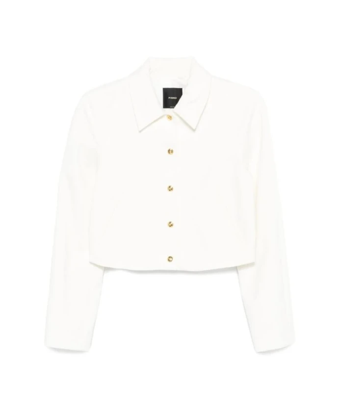 Укороченная куртка Guazzetto Pinko, белый
Укороченная куртка Guazzetto Pinko, белый