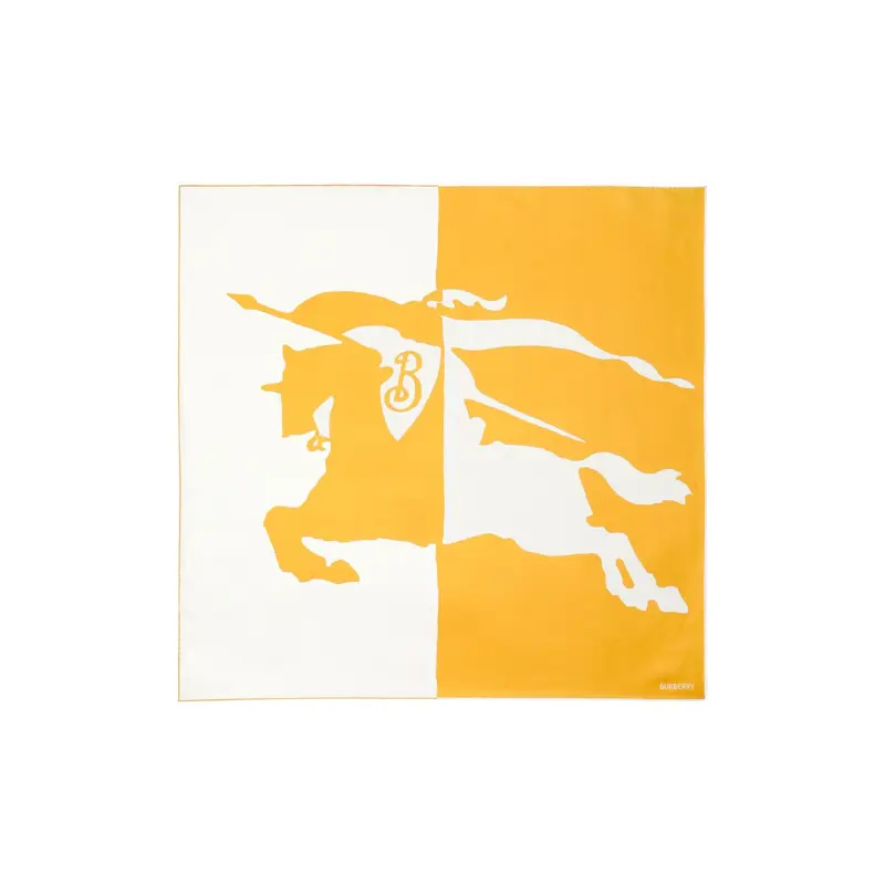 Шарф женский Burberry Logo Printed, белый / желтый 
Шарф женский Burberry Logo Printed, белый / желтый