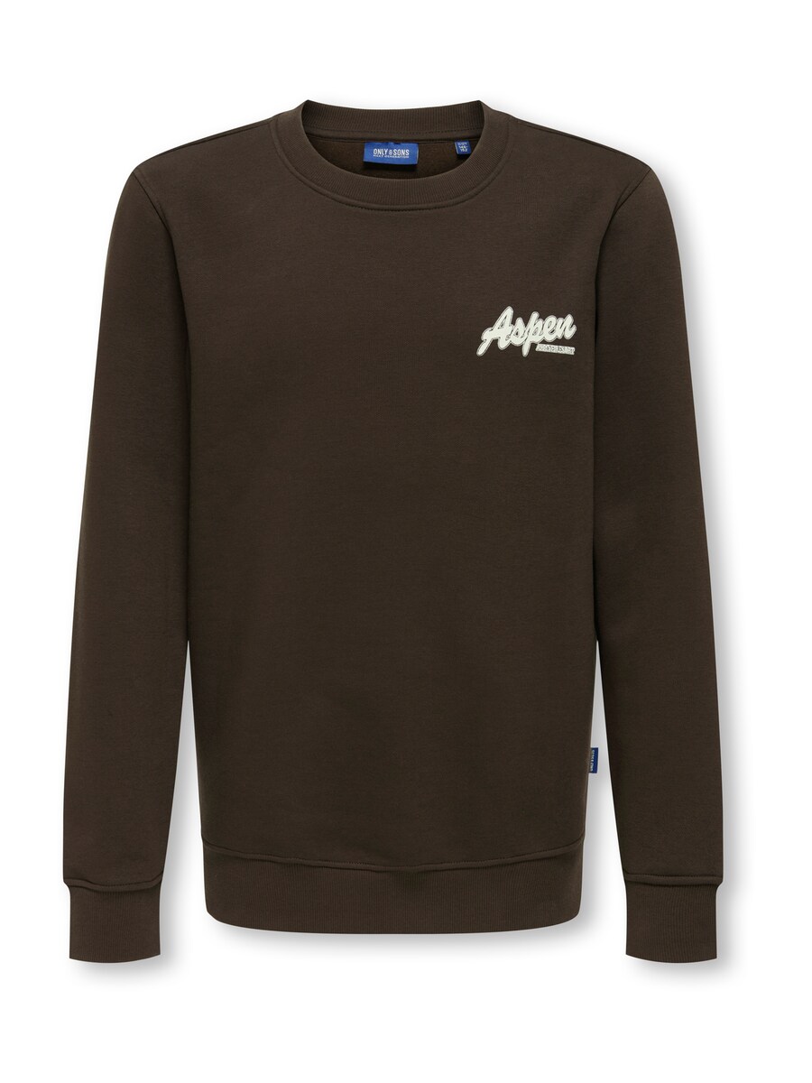 Толстовка Only & Sons Junior OSJCONNOR SNOW, темно-коричневый
Толстовка Only & Sons Junior OSJCONNOR SNOW, темно-коричневый