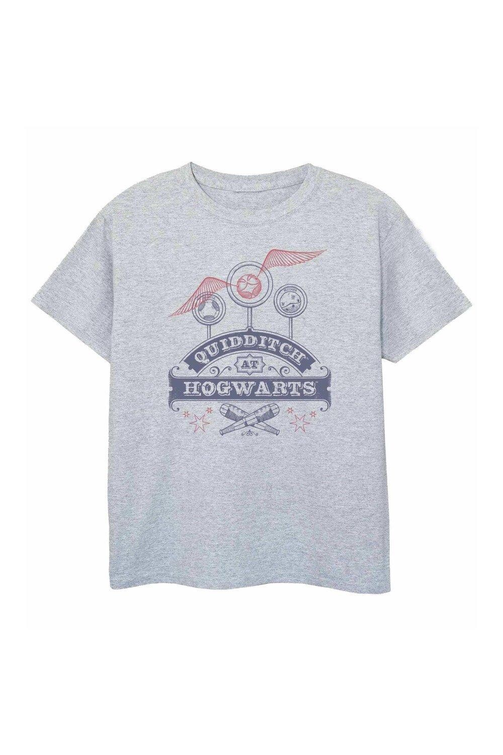 Футболка для квиддича Harry Potter, серый
Футболка для квиддича Harry Potter, серый