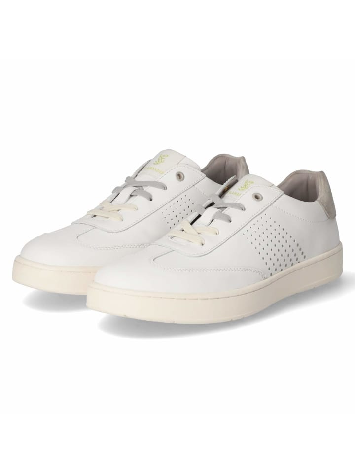 Низкие кроссовки SALAMANDER, белый
Низкие кроссовки SALAMANDER, белый