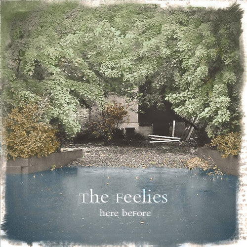 Виниловая пластинка Feelies: Here Before
Виниловая пластинка Feelies: Here Before