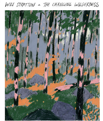 Виниловая пластинка Stratton, Will: The Changing Wilderness
Виниловая пластинка Stratton, Will: The Changing Wilderness