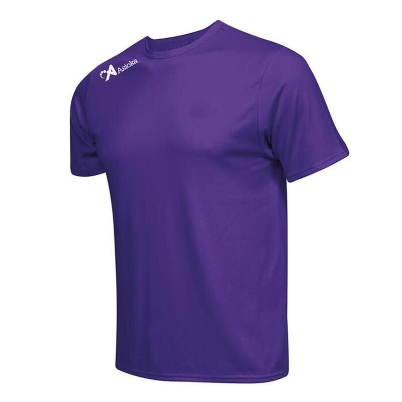 Мужская футбольная рубашка Asioka Premium сиреневого цвета из полиэстера
Мужская футбольная рубашка Asioka Premium сиреневого цвета из полиэстера