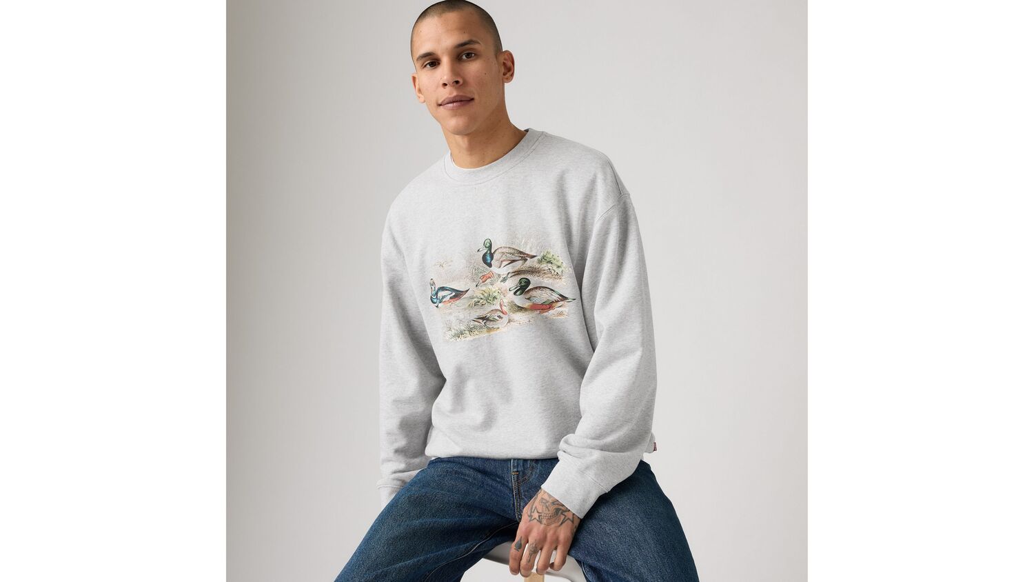 Свободная толстовка с круглым вырезом и графическим принтом Levi's, Majestic Mallards Light Heather Grey - Grey
Свободная толстовка с круглым вырезом и графическим принтом Levi's, Majestic Mallards Light Heather Grey - Grey