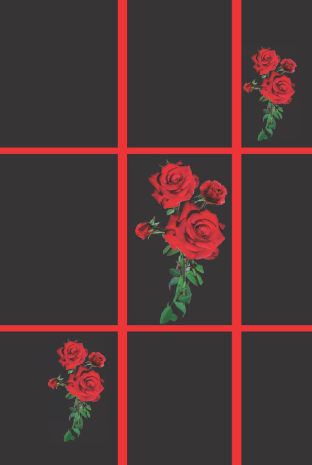 HARD COVER Notebook 6 x 9 inches lined paper , High-Quality Book 200 Pages, Lovely red Design (Independently published)
HARD COVER Notebook 6 x 9 inches lined paper , High-Quality Book 200 Pages, Lovely red Design (Independently published)