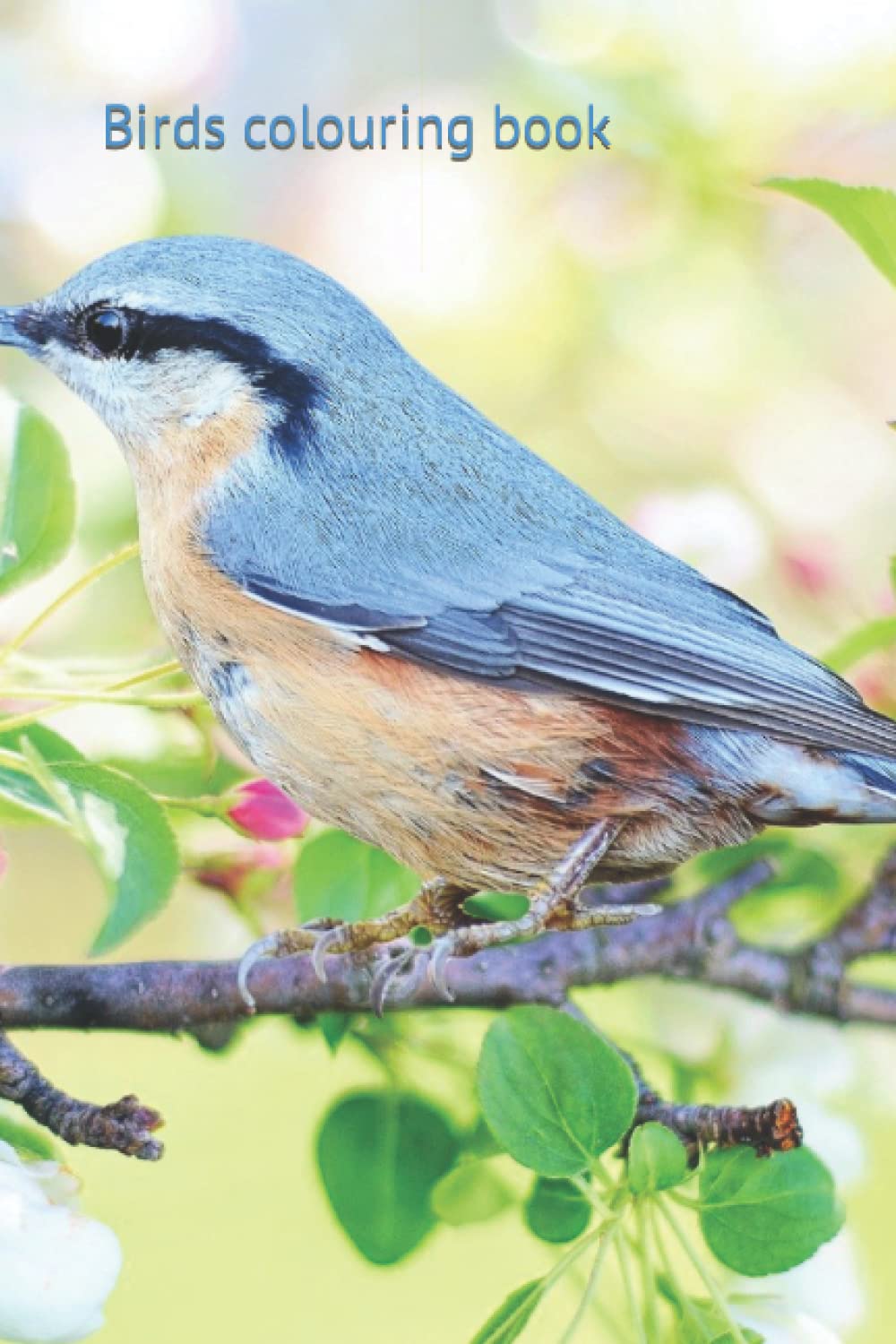 Bird colouring book (Birds Colouring book)
Bird colouring book (Birds Colouring book)