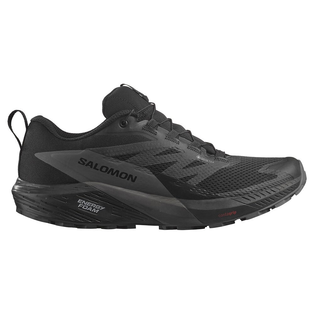 Кроссовки Salomon Sense Ride 5 Goretex Trail, черный
Кроссовки Salomon Sense Ride 5 Goretex Trail, черный