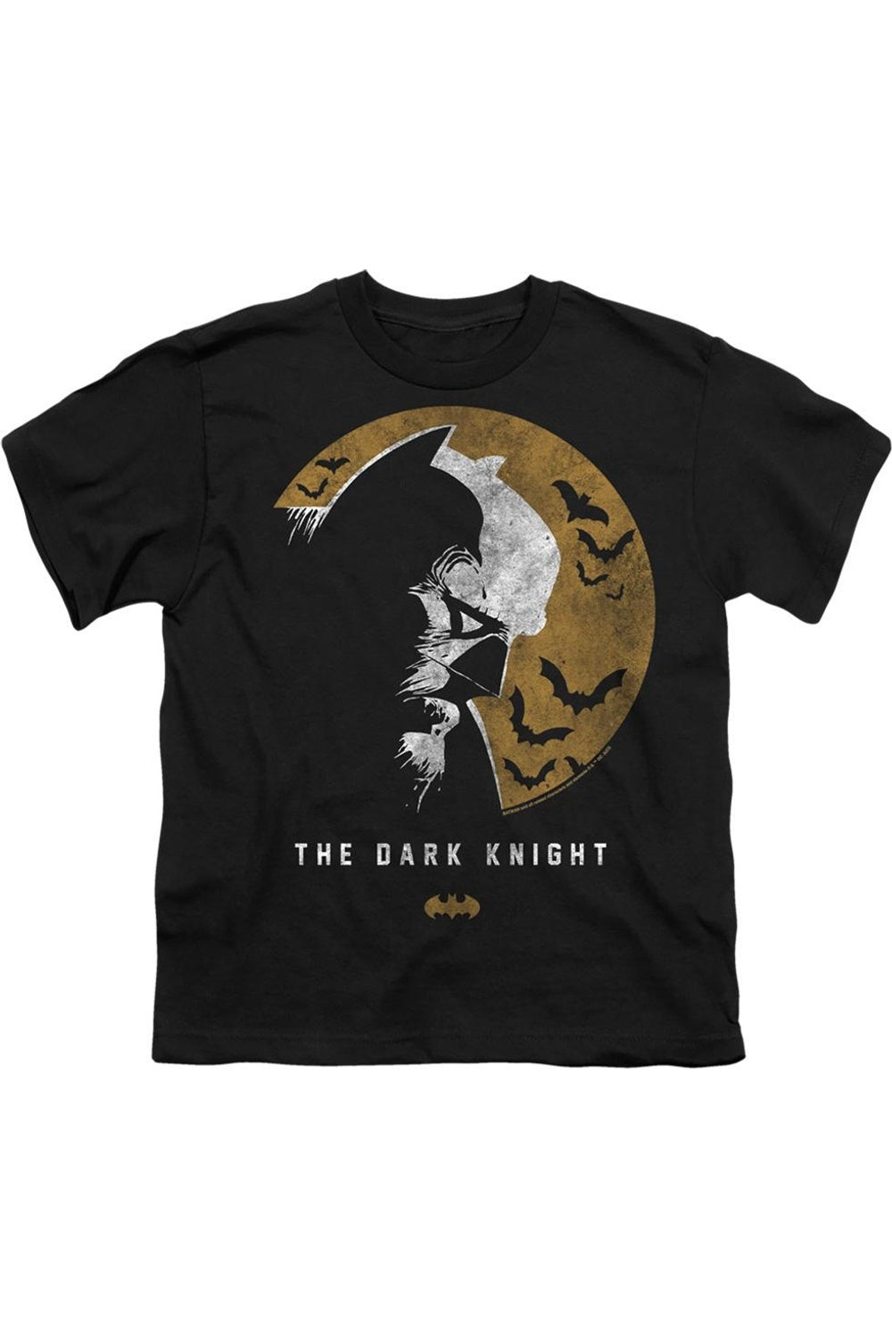 Футболка с коротким рукавом для детей Batman Dark Knight Moon Gildan, черный 
Футболка с коротким рукавом для детей Batman Dark Knight Moon Gildan, черный