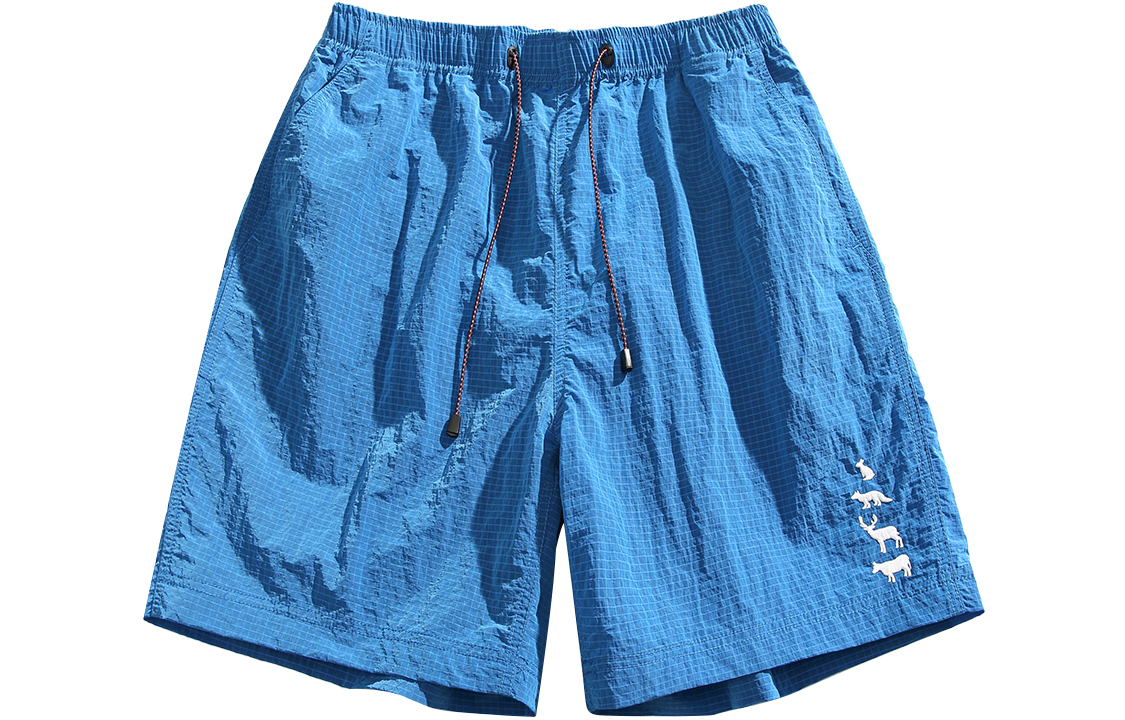 Повседневные шорты унисекс CLOR, синий
Повседневные шорты унисекс CLOR, синий