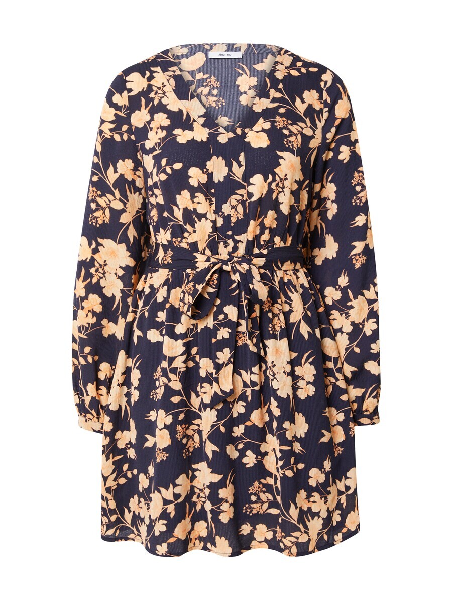 Платье About You AYANA, синий/смешанные цвета
Платье About You AYANA, синий/смешанные цвета
