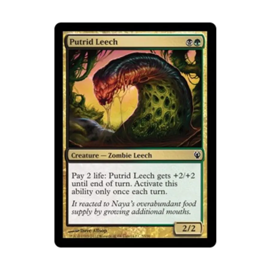 CCG Гнилая пиявка (С), MTG - Duel Decks - Izzet vs. Golgari
CCG Гнилая пиявка (С), MTG - Duel Decks - Izzet vs. Golgari