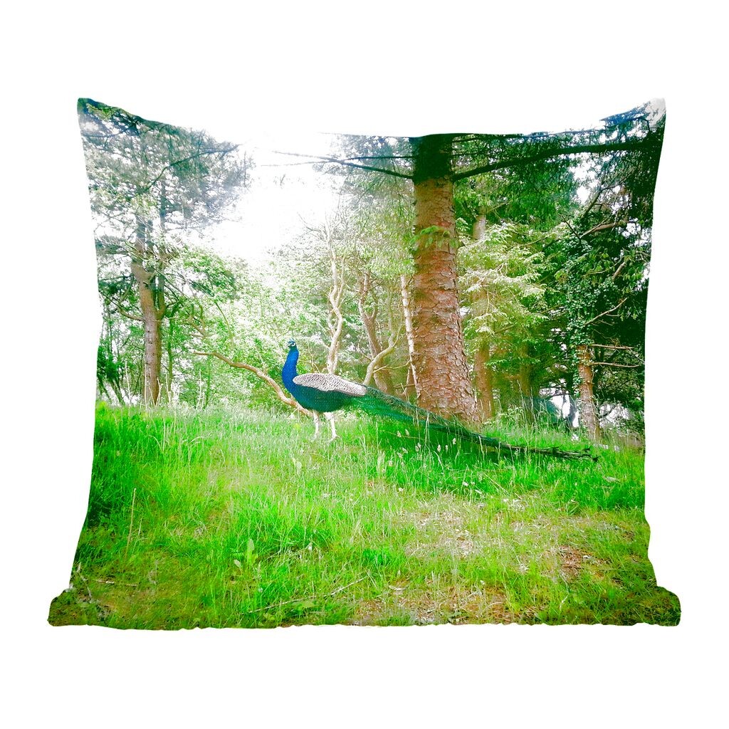 MuchoWow Peacock - Павлин при слабом солнечном свете - 60x60 см - чехол на подушку - хлопчатобумажная ткань - декоративные чехлы на подушки
MuchoWow Peacock - Павлин при слабом солнечном свете - 60x60 см - чехол на подушку - хлопчатобумажная ткань - декоративные чехлы на подушки