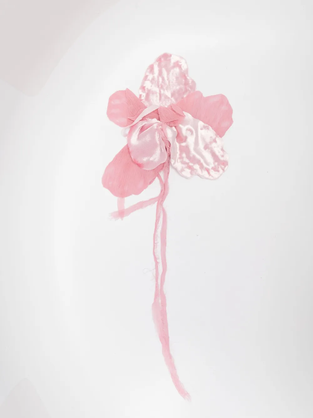 Брошь в виде цветка Alberta Ferretti, розовый
Брошь в виде цветка Alberta Ferretti, розовый