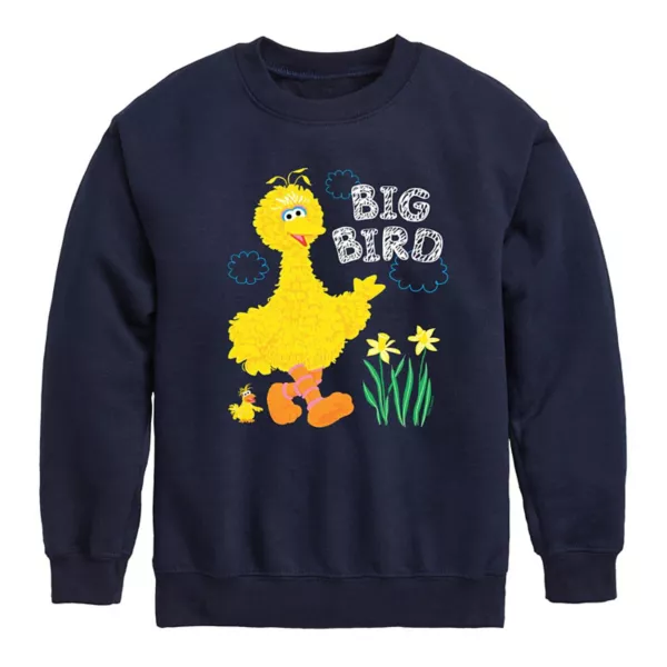 Флисовая толстовка с изображением большой птицы и нарциссов для мальчиков 8-20 лет Licensed Character, синий
Флисовая толстовка с изображением большой птицы и нарциссов для мальчиков 8-20 лет Licensed Character, синий