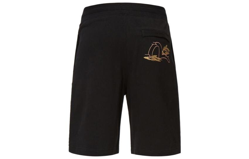 Повседневные шорты для мужчин Evisu, синий
Повседневные шорты для мужчин Evisu, синий