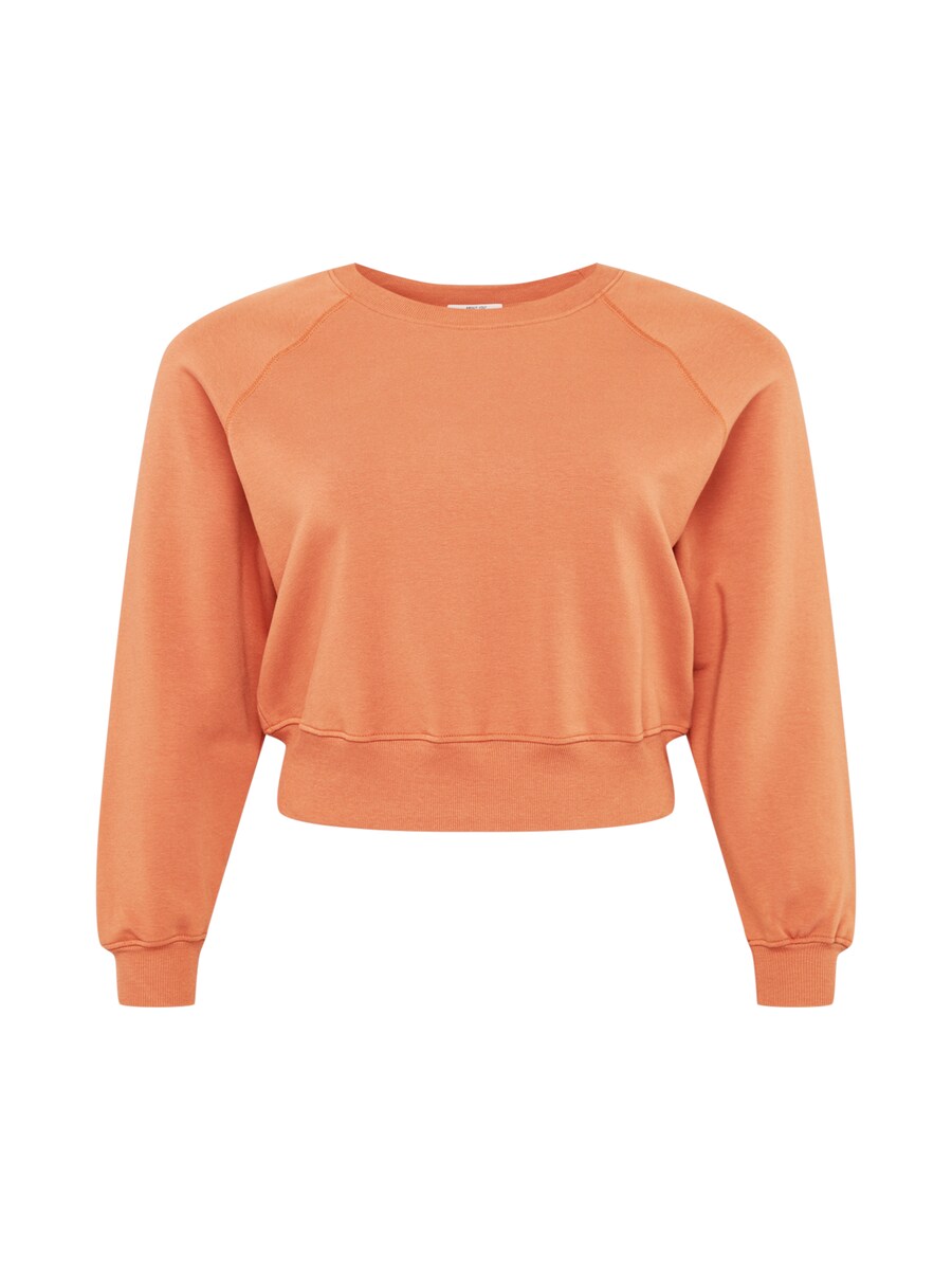 Толстовка ABOUT YOU Curvy Marin, коричневый
Толстовка ABOUT YOU Curvy Marin, коричневый