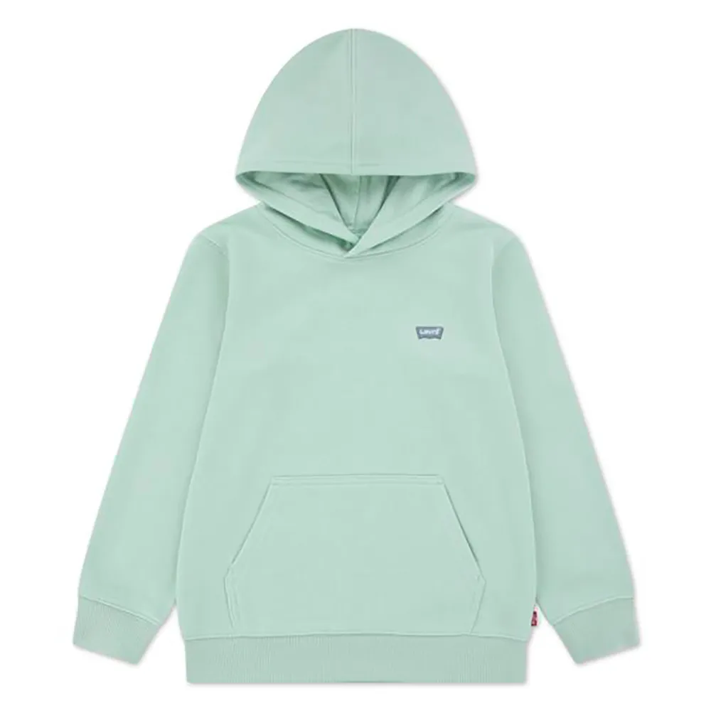 Худи Levi's 8EK422, зеленый
Худи Levi's 8EK422, зеленый