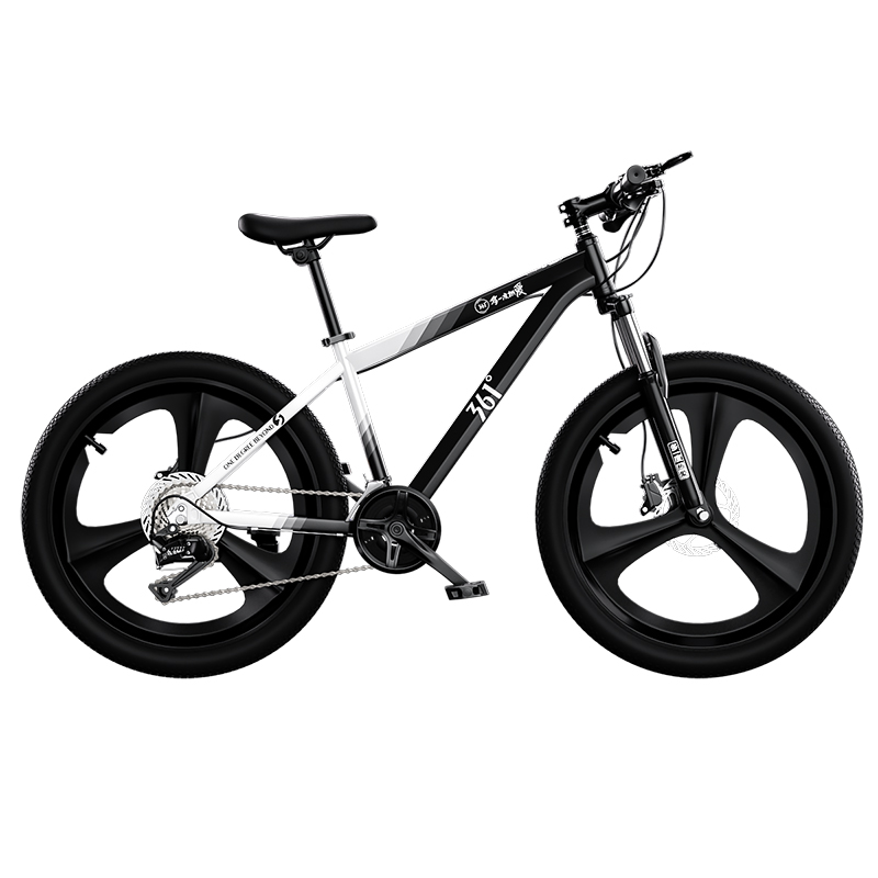 Велосипед Youth & Student с вилкой High Carbon Steel Lockable Shock Absorption 361°, obsidian черный
Велосипед Youth & Student с вилкой High Carbon Steel Lockable Shock Absorption 361°, obsidian черный