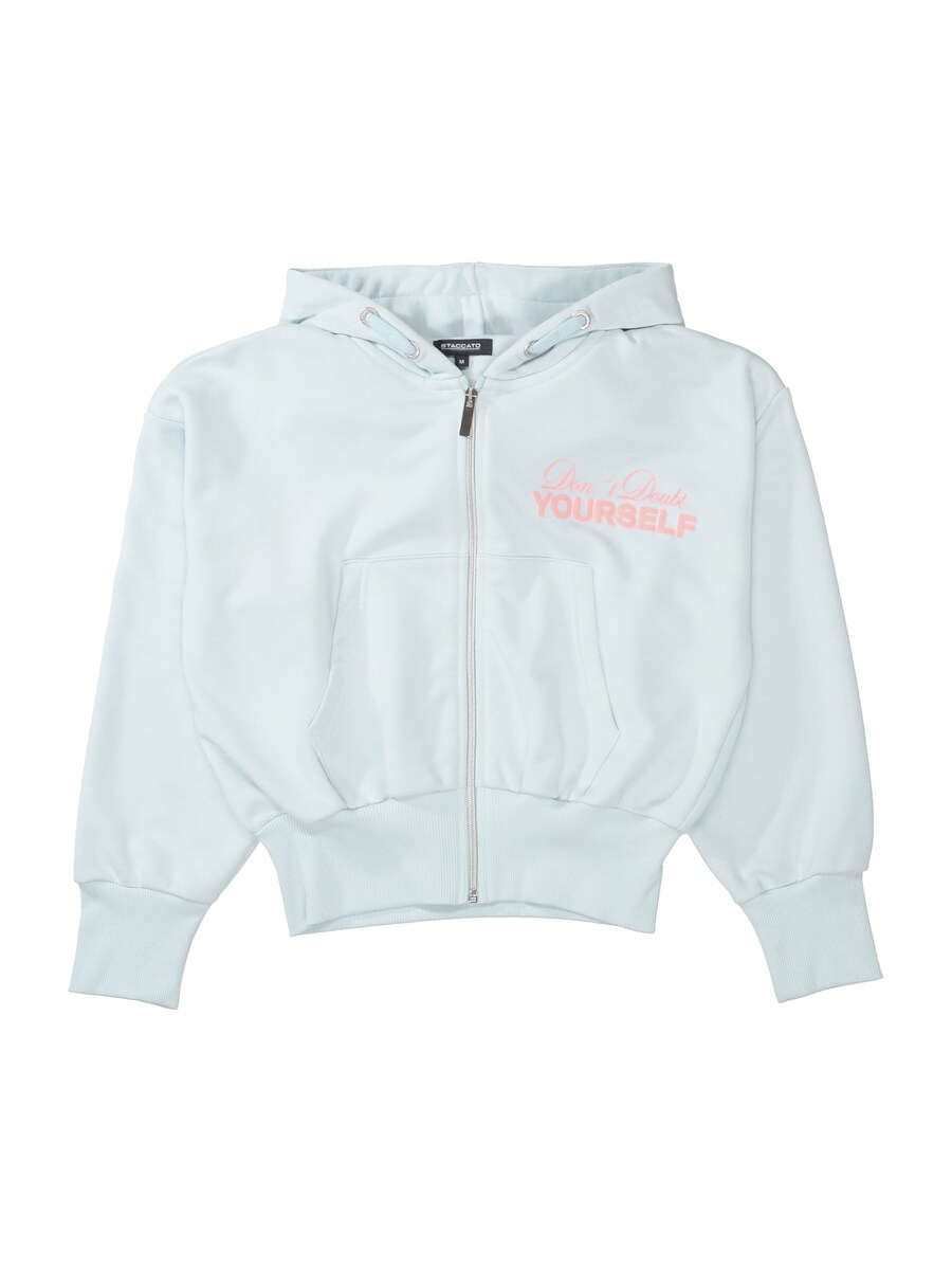 Толстовка с капюшоном на молнии STACCATO, светло-синий
Толстовка с капюшоном на молнии STACCATO, светло-синий