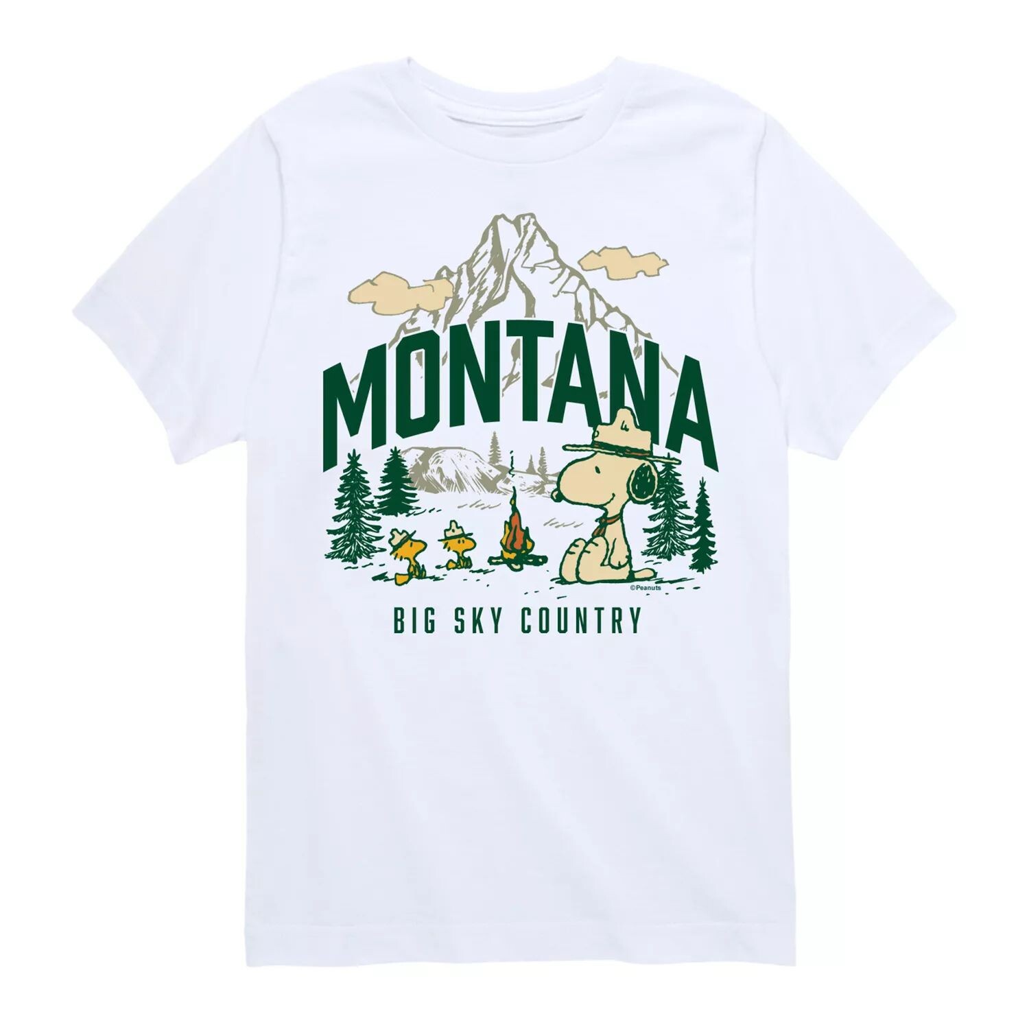 Футболка с рисунком Peanuts Montana Big Sky для мальчиков 8–20 лет Licensed Character, белый
Футболка с рисунком Peanuts Montana Big Sky для мальчиков 8–20 лет Licensed Character, белый