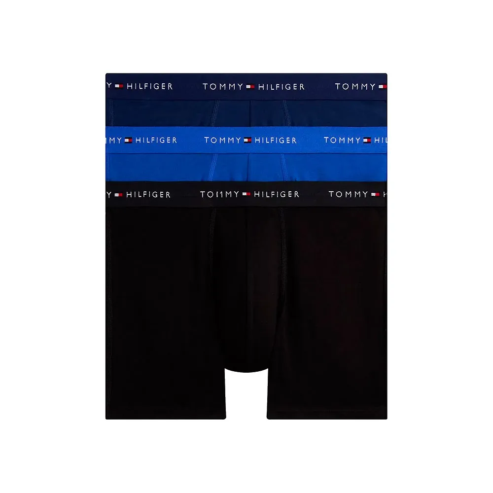 Боксеры 3 шт Tommy Hilfiger UM0UM03696 Brief, синий
Боксеры 3 шт Tommy Hilfiger UM0UM03696 Brief, синий