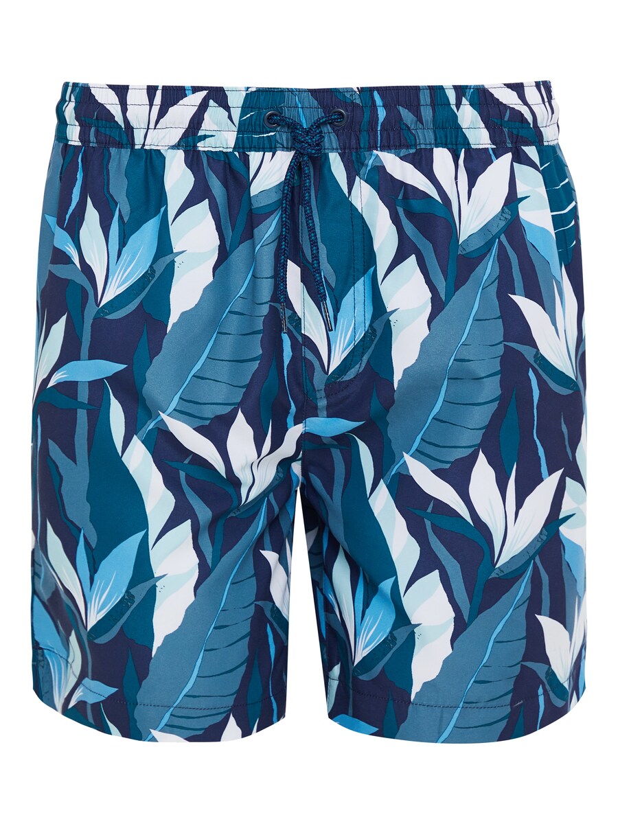 Шорты для серфинга Threadbare Ashdale, лазурный/светло-голубой/темно-синий
Шорты для серфинга Threadbare Ashdale, лазурный/светло-голубой/темно-синий