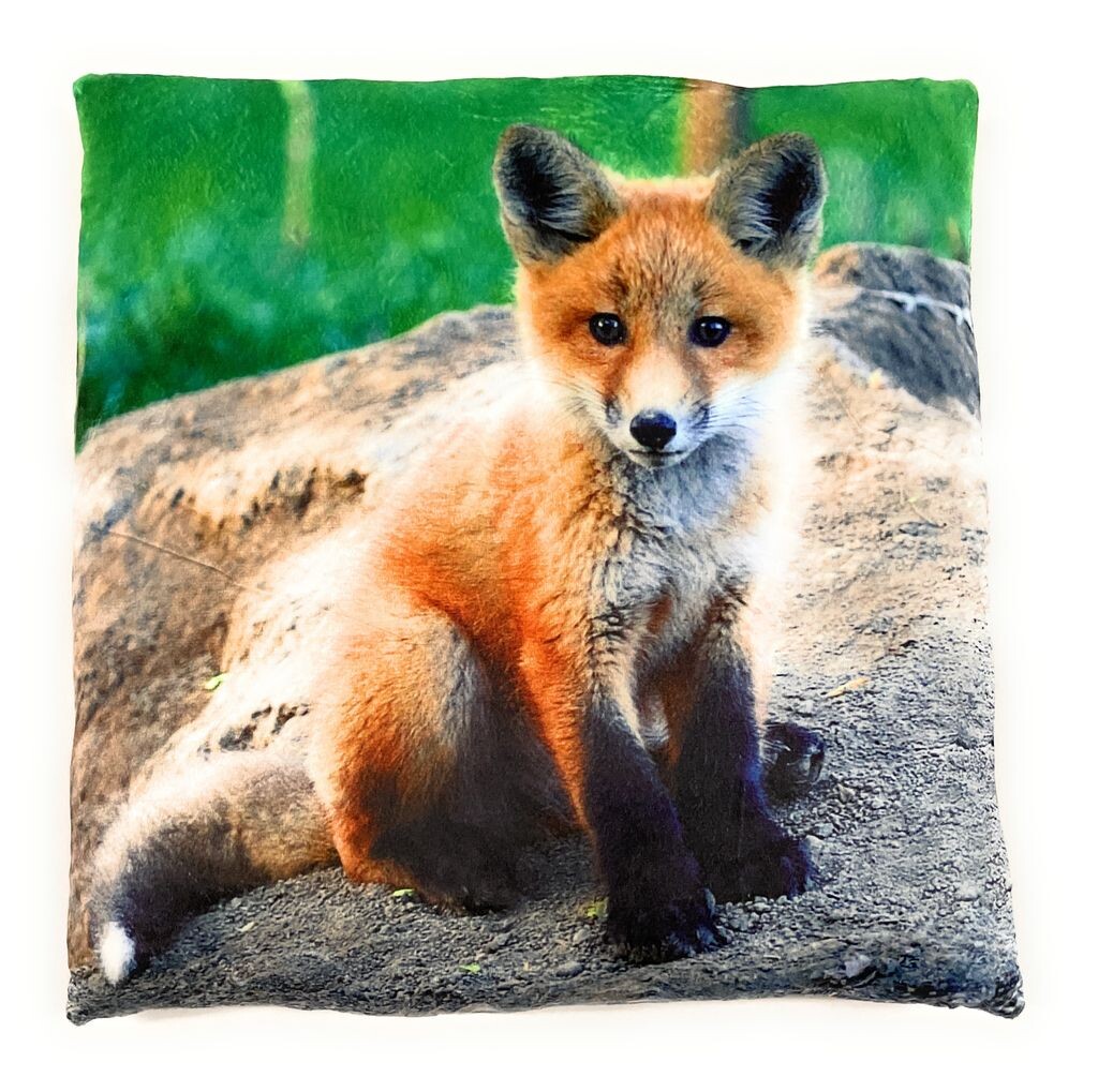 On Womania Fox Wild Dog Forest Плюшевая подушка для дивана или кровати в качестве украшения или приятная подушка 35 x 35 см Onwomania
On Womania Fox Wild Dog Forest Плюшевая подушка для дивана или кровати в качестве украшения или приятная подушка 35 x 35 см Onwomania