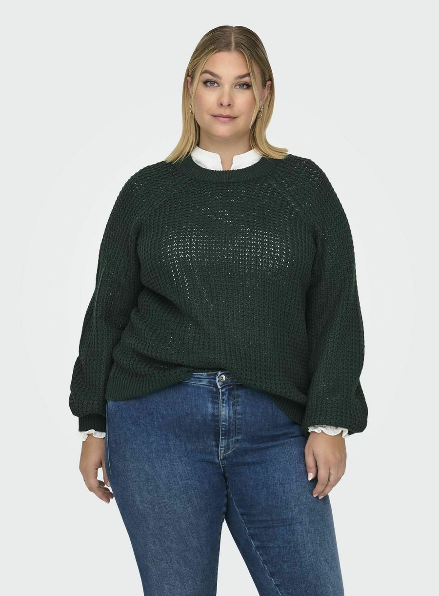 Джемпер ONLY Carmakoma Jumper, Scarab/Dark Green
Джемпер ONLY Carmakoma Jumper, Scarab/Dark Green