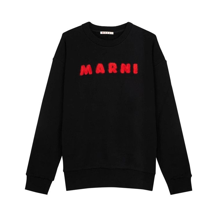 Толстовка Marni Unbrushed Sweatshirt, Black
Толстовка Marni Unbrushed Sweatshirt, Black