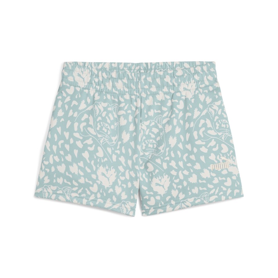 Обычные брюки PUMA Flaming Love, мятный
Обычные брюки PUMA Flaming Love, мятный