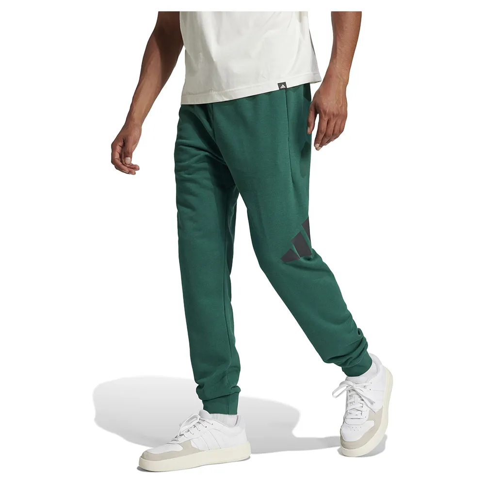 Джоггеры adidas Essentials Big Logo French Terry, зеленый
Джоггеры adidas Essentials Big Logo French Terry, зеленый