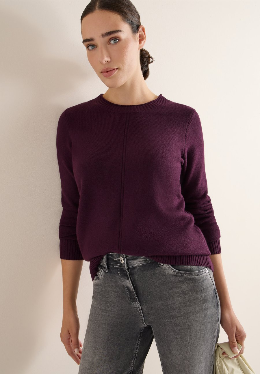 Джемпер Cecil Jumper, Rot/Bordeaux
Джемпер Cecil Jumper, Rot/Bordeaux