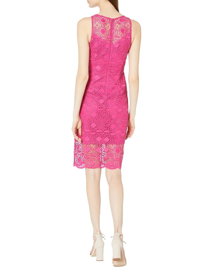 Платье Adrianna Papell Sunrise Lace Illusion Sheath Dress, цвет Bright Azalea
Платье Adrianna Papell Sunrise Lace Illusion Sheath Dress, цвет Bright Azalea