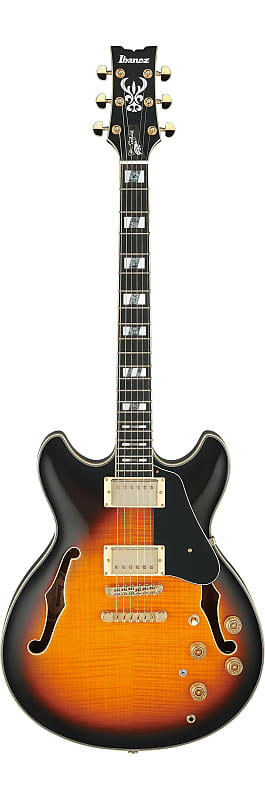 Электрогитара Ibanez John Scofield Signature JSM10 Semi-hollowbody Electric Guitar - Vintage Yellow Sunburst
Электрогитара Ibanez John Scofield Signature JSM10 Semi-hollowbody Electric Guitar - Vintage Yellow Sunburst