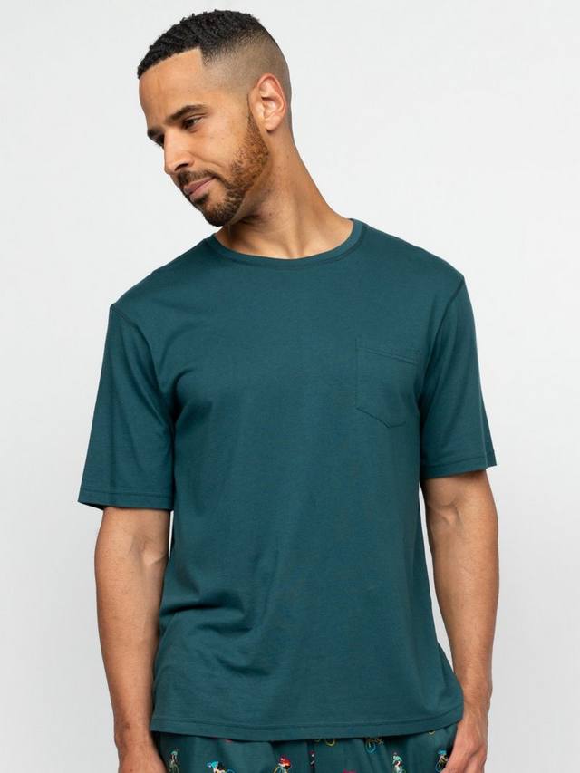 Пижамная футболка из джерси theo с коротким рукавом Cyberjammies, зеленый
Пижамная футболка из джерси theo с коротким рукавом Cyberjammies, зеленый