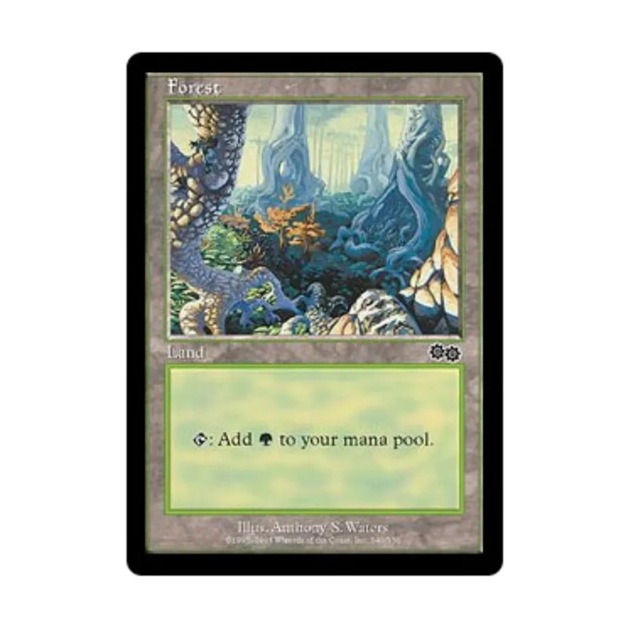 CCG Лес #349 (С), MTG - Urza's Saga 
CCG Лес #349 (С), MTG - Urza's Saga