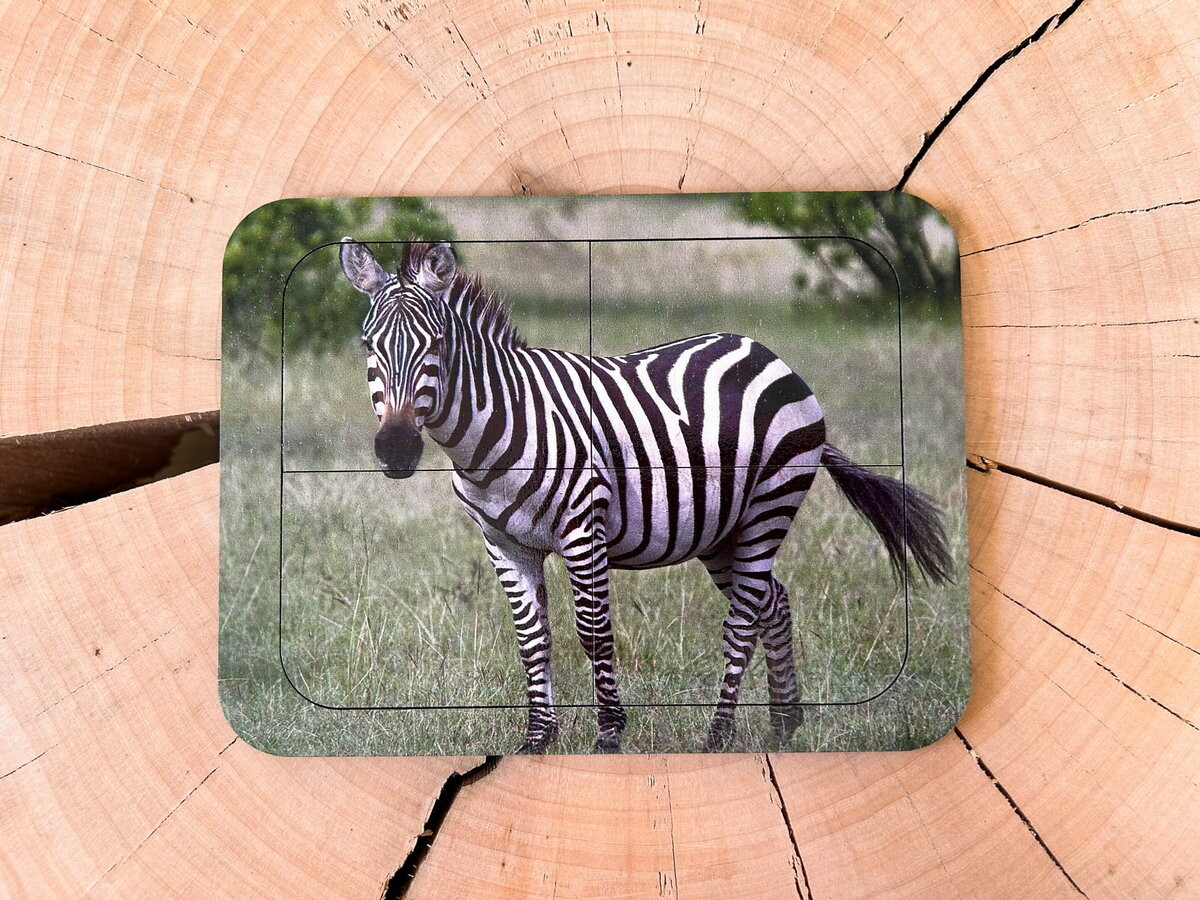 Зебра, деревянный пазл с четырьмя элементами, основа с подписью, первый пазл Inna marka
Зебра, деревянный пазл с четырьмя элементами, основа с подписью, первый пазл Inna marka