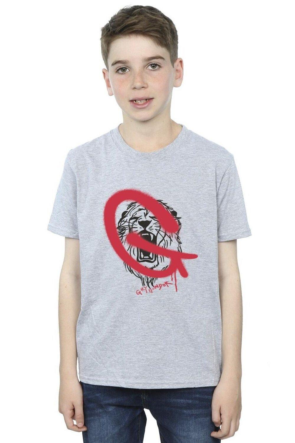 Футболка «Гриффиндорская поп-музыка» Harry Potter, серый
Футболка «Гриффиндорская поп-музыка» Harry Potter, серый