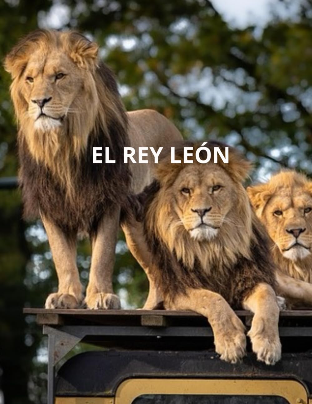 El REY LÉON (Spanish Edition) (Independently published)
El REY LÉON (Spanish Edition) (Independently published)