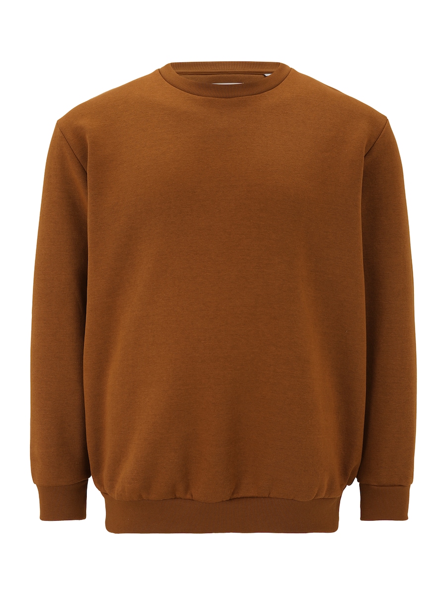 Толстовка Jack & Jones Plus JJEBradley, коричневый
Толстовка Jack & Jones Plus JJEBradley, коричневый