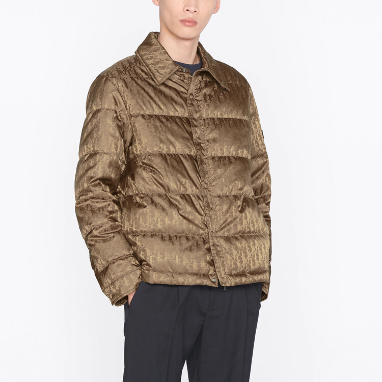 Пуховик мужской Dior, коричневый
Пуховик мужской Dior, коричневый