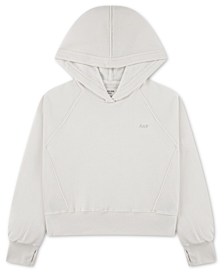 Детская толстовка с капюшоном Essential PullOn Hoodie abercrombie kids, Off White
Детская толстовка с капюшоном Essential PullOn Hoodie abercrombie kids, Off White