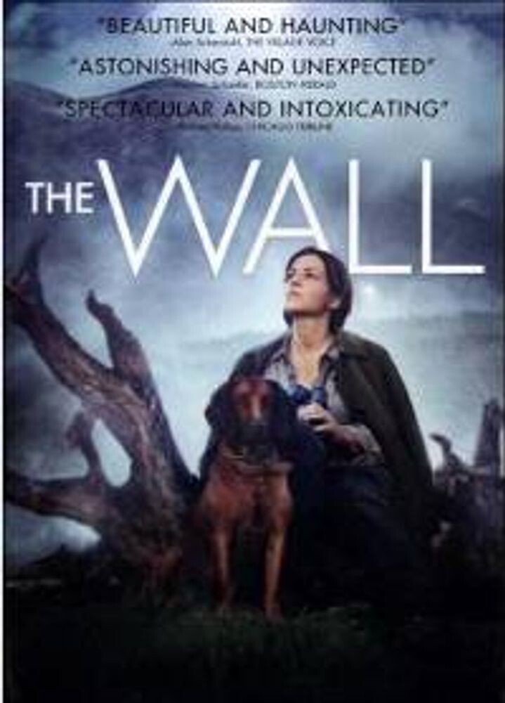 Диск DVD Wall
Диск DVD Wall