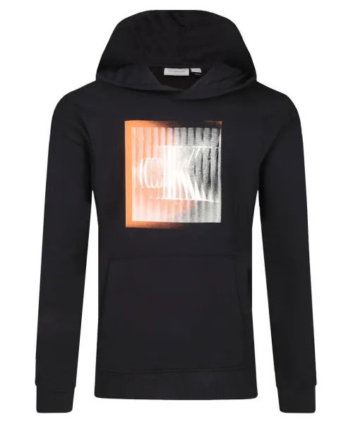 Толстовка Regular fit Calvin Klein Jeans, черный
Толстовка Regular fit Calvin Klein Jeans, черный