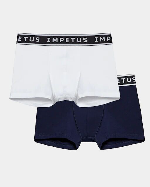Комплект из двух однотонных боксеров для мальчиков с видимой резинкой на талии Impetus, белый
Комплект из двух однотонных боксеров для мальчиков с видимой резинкой на талии Impetus, белый