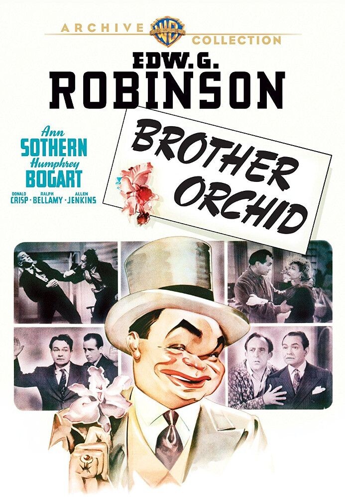 Диск DVD Brother Orchid (1940)
Диск DVD Brother Orchid (1940)