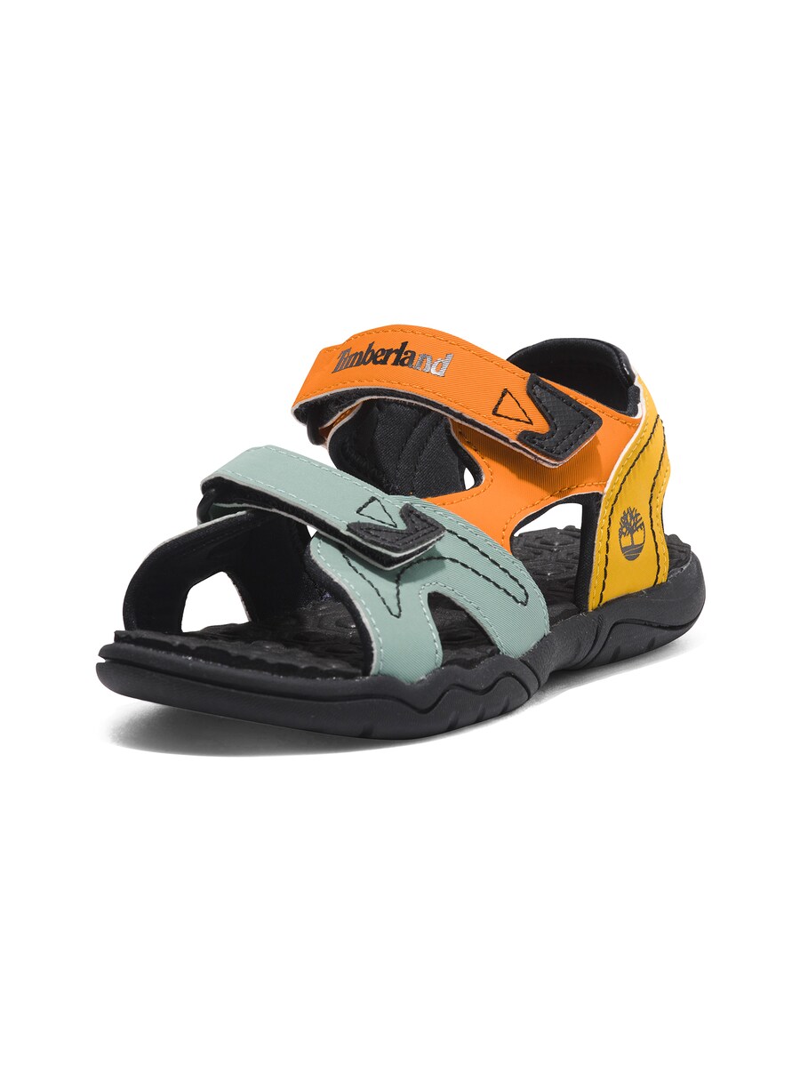 Сандалии TIMBERLAND Adventure, разноцветный
Сандалии TIMBERLAND Adventure, разноцветный